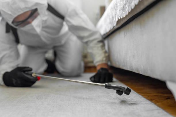 Professional Pest Control technician working in Bland County County, VA